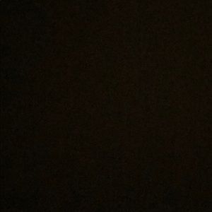 Meet your Posher, Daphne